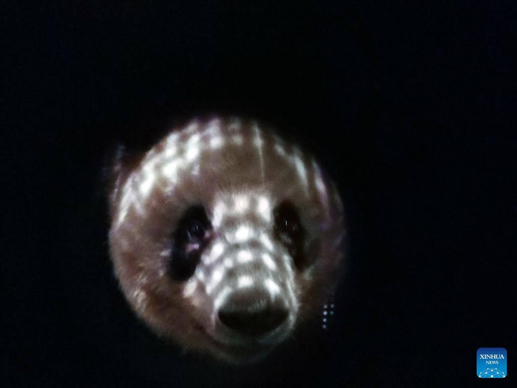 aa9ba4324d4a4e038f64e912e65f8c2c (1)