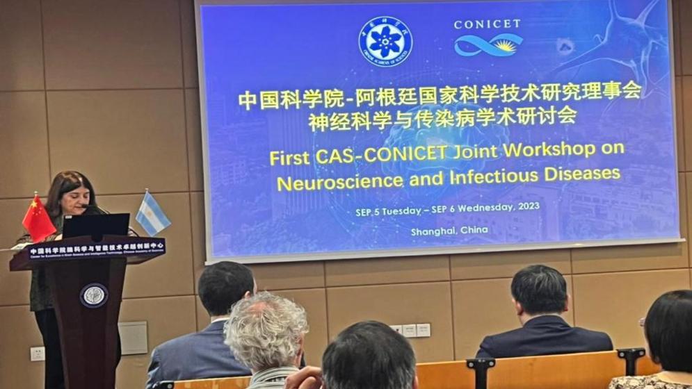 Taller de Biomedicina CAS-CONICET en Shanghái. (Foto: Conicet)