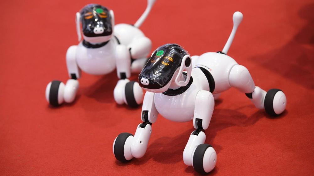 Conferencia Robots- Foto de Simon Song HispanTV 2