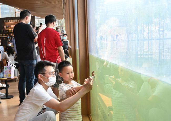 VCG 2 - libreria acuatica