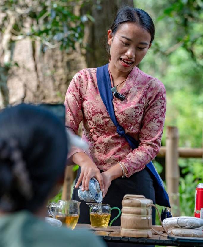 Los bosques de té de Jingmai fueron declarados Patrimonio Mundial por la UNESCO. (Foto: Xinhua)