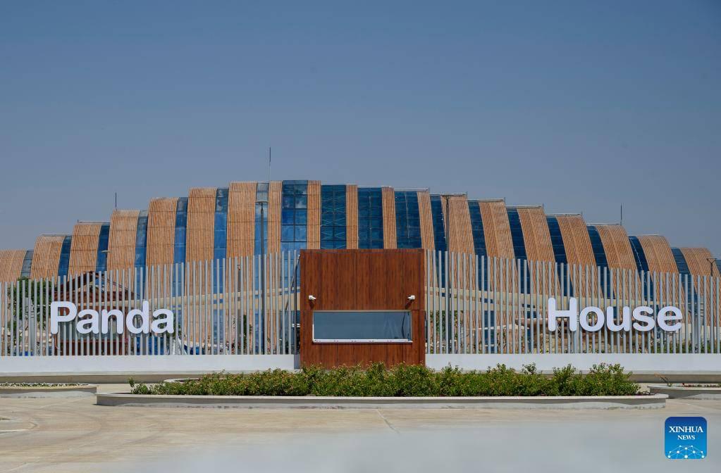 Pandas gigantes llegan a Qatar. (Foto: Xinhua)