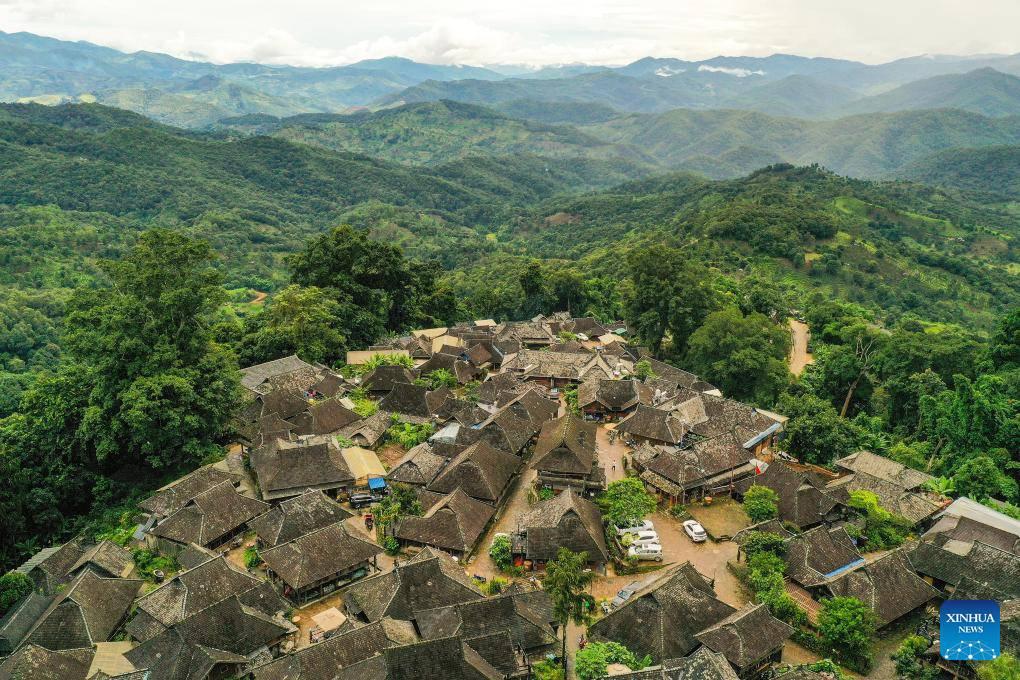 Los bosques de té de Jingmai fueron declarados Patrimonio Mundial por la UNESCO. (Foto: Xinhua)