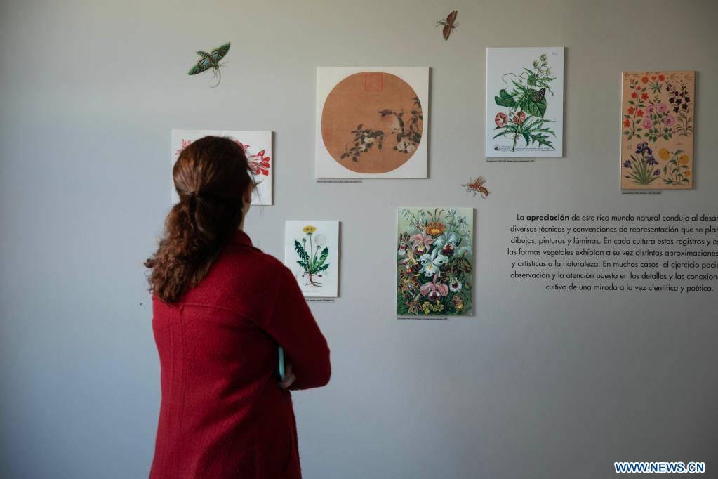 Una exposición en Buenos Aires destaca el aporte de China a la ilustración botánica. (Foto: Xinhua)