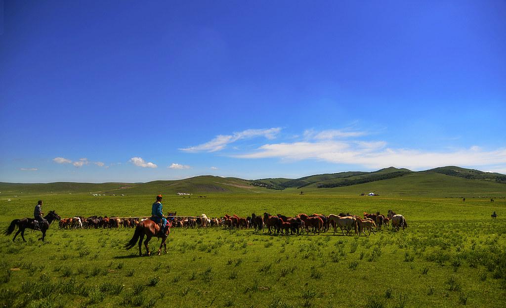 Patrimonio Agrícola Mundial en China. Foto: FAO