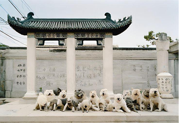 (Foto: Museo Nacional de Arte Oriental)