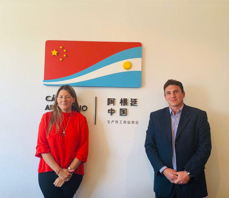 CAPIP-camara-Argentina-Chinae-768x665