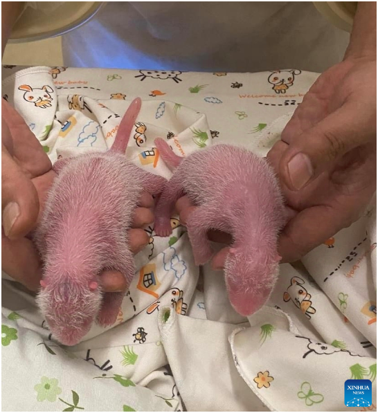 Captura de pantalla 2024-08-16 092854