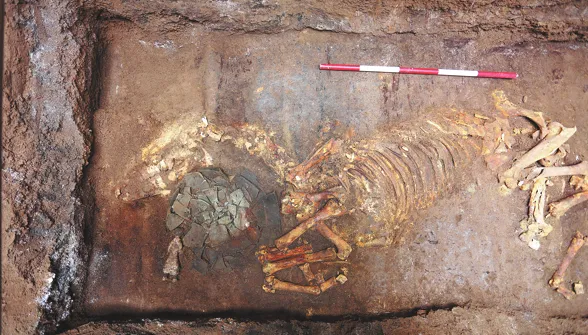 FOREIGN1763361680992NJDPV0PO6U