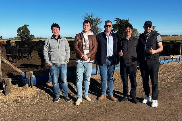 WhatsApp Image 2024-05-08 at 17.16.26