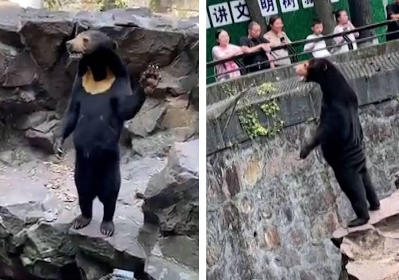 S6DOSYRU3FFDDGHLPE4L2PJYQA