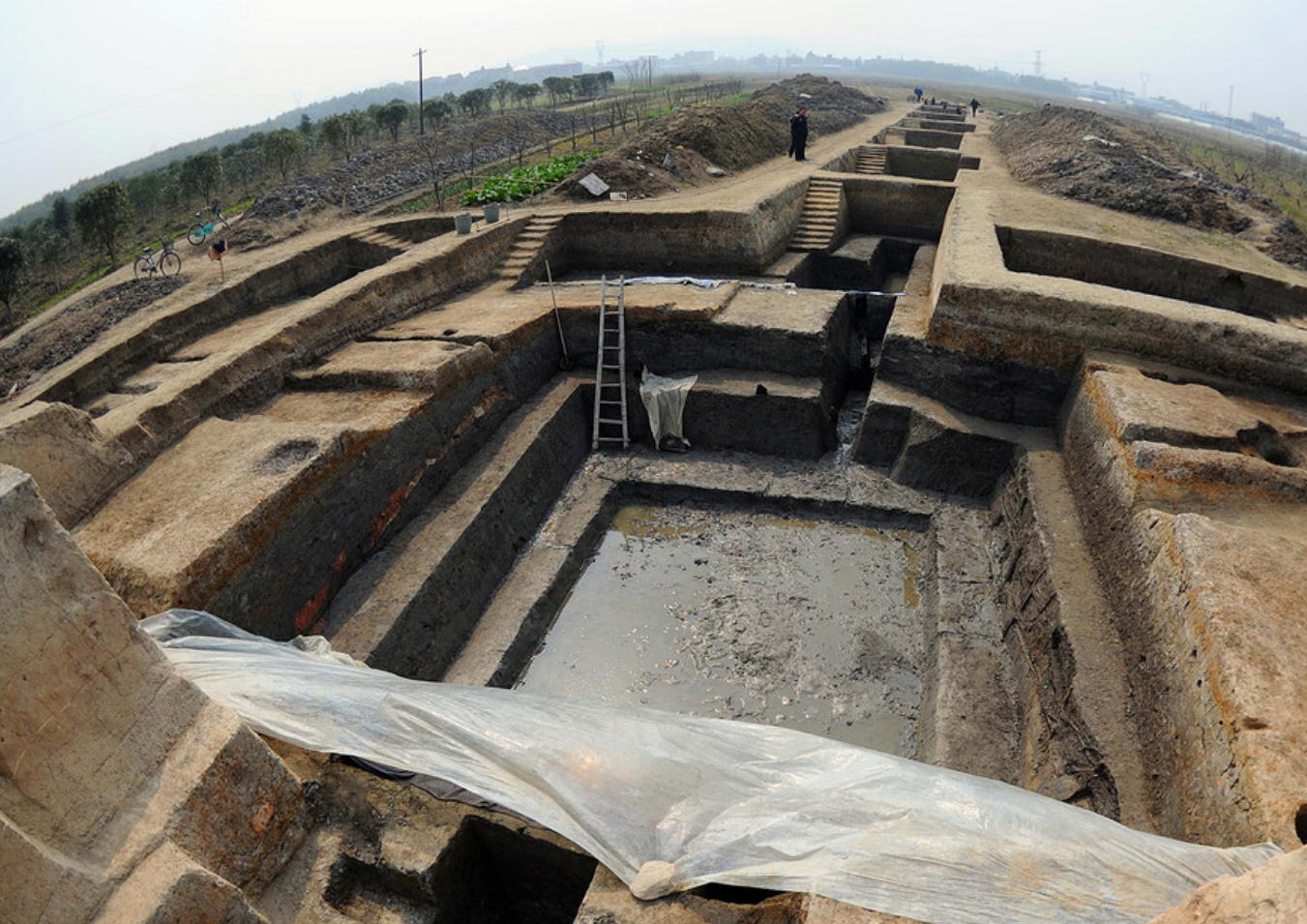 Diseño sin título (53)