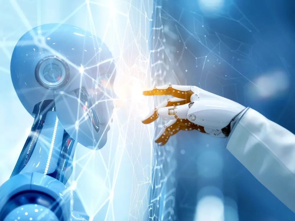 Cami - 2025-07-29T085342.864