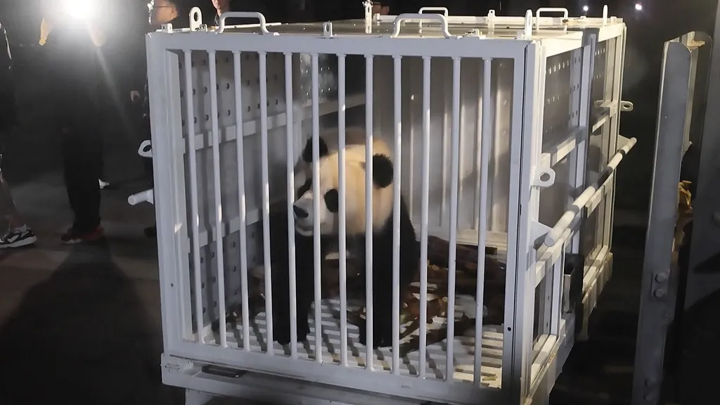 08fc9cec-a521-49fa-900b-1e43eb7ba08c