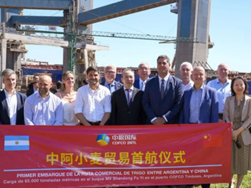 Cami - 2025-12-15T112036.299