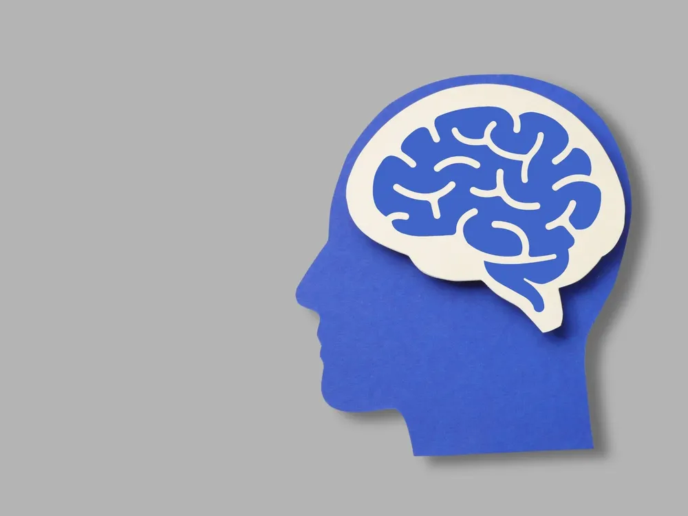 Cami - 2026-01-09T123452.172