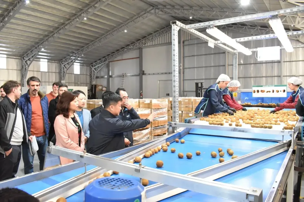 505852899_1131074792379556_7767640796800262663_n