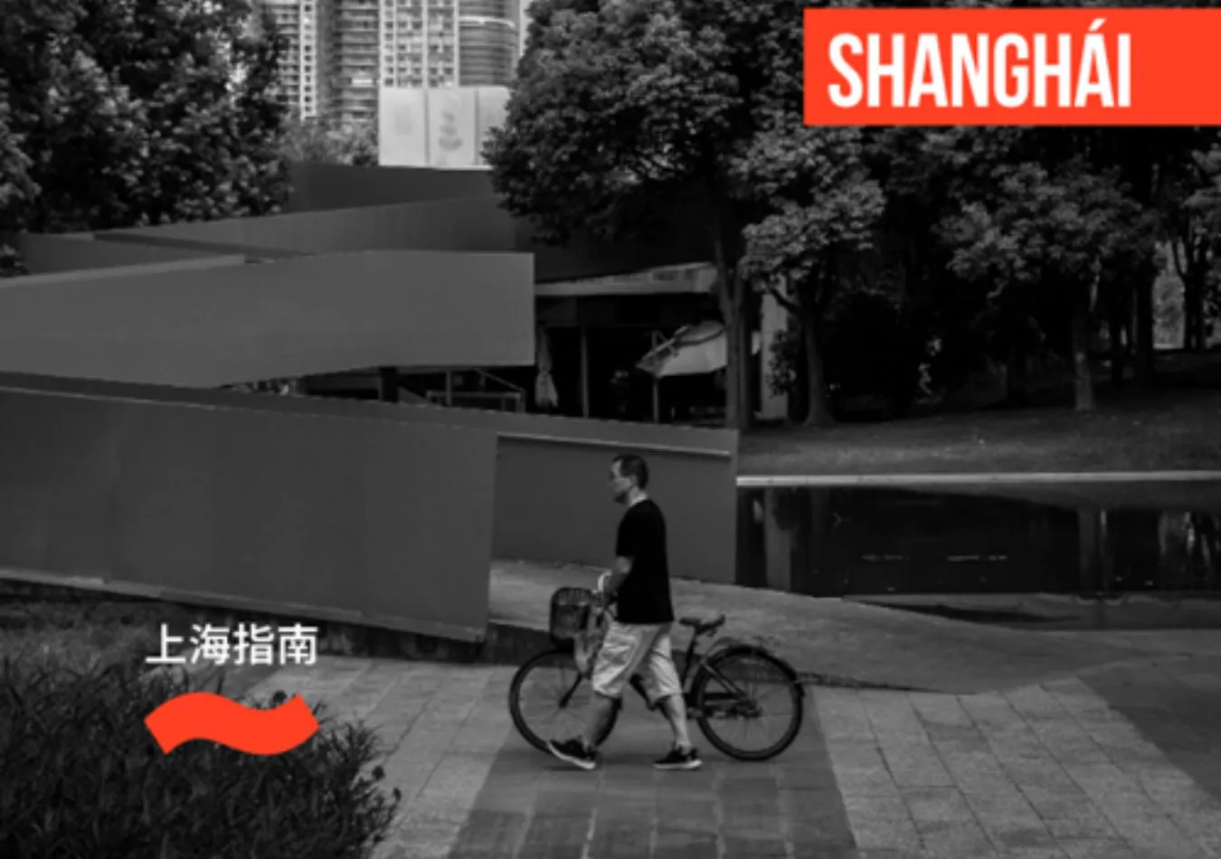 Cami - 2025-06-26T121002.873