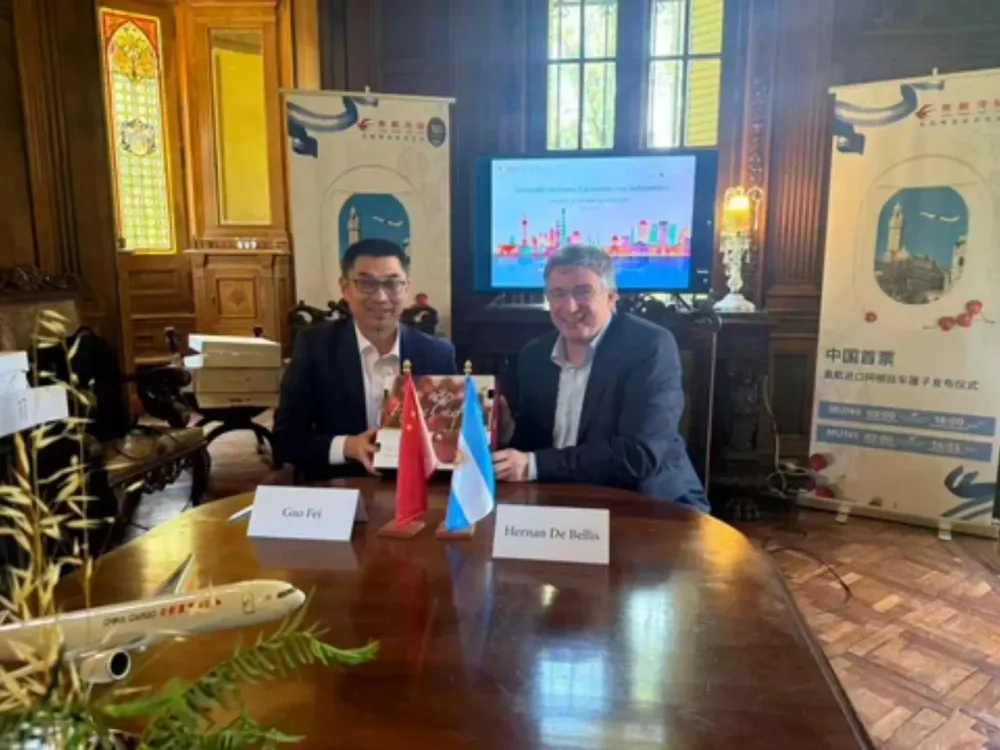 Cami - 2025-12-26T124322.817