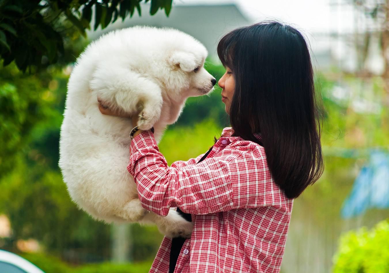 Mascotas en China. (Foto: Pixabay)