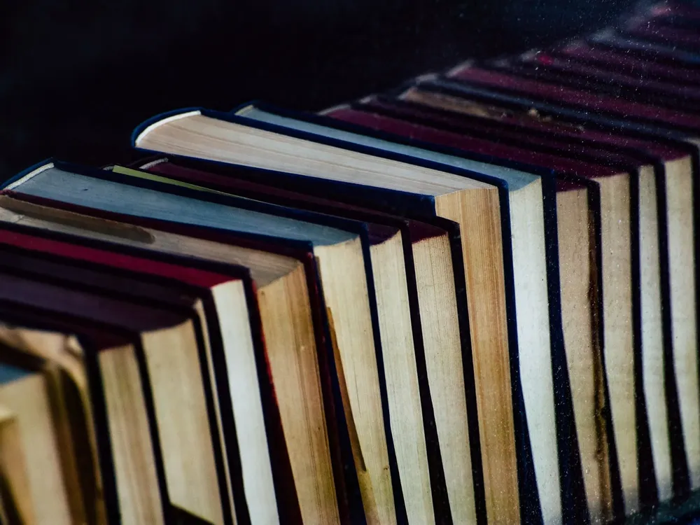 Libros - educación (Foto: Canva)