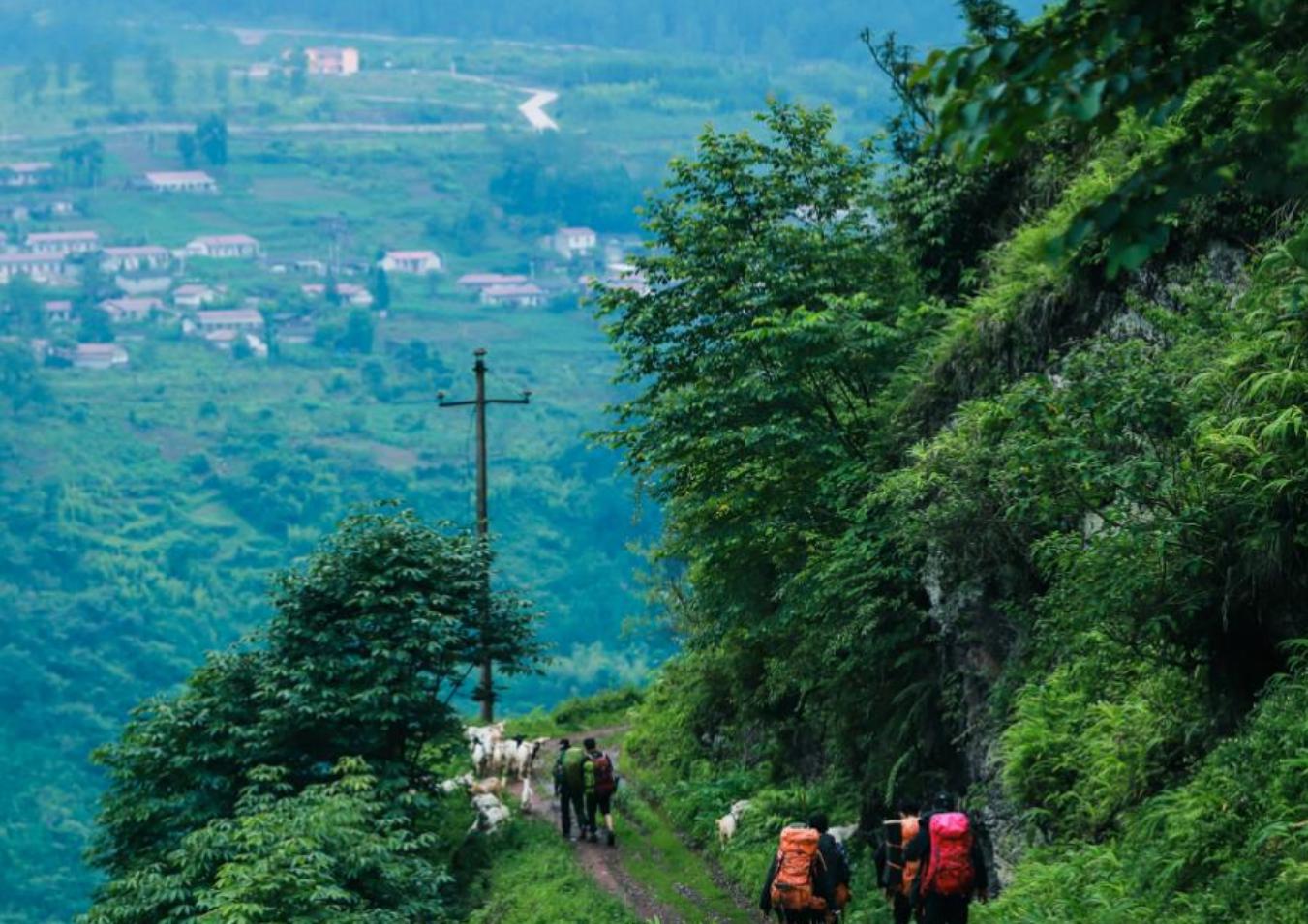 8531ed04d4a443b199b1140829e979fa