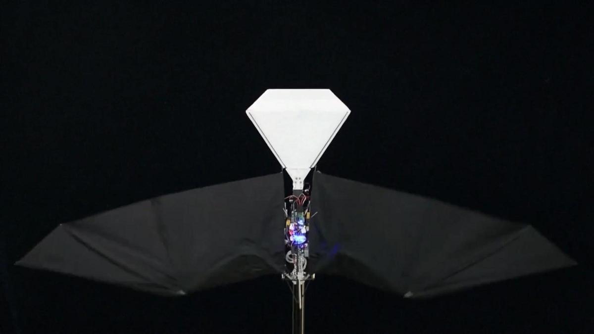 Avión con alas de pájaro 