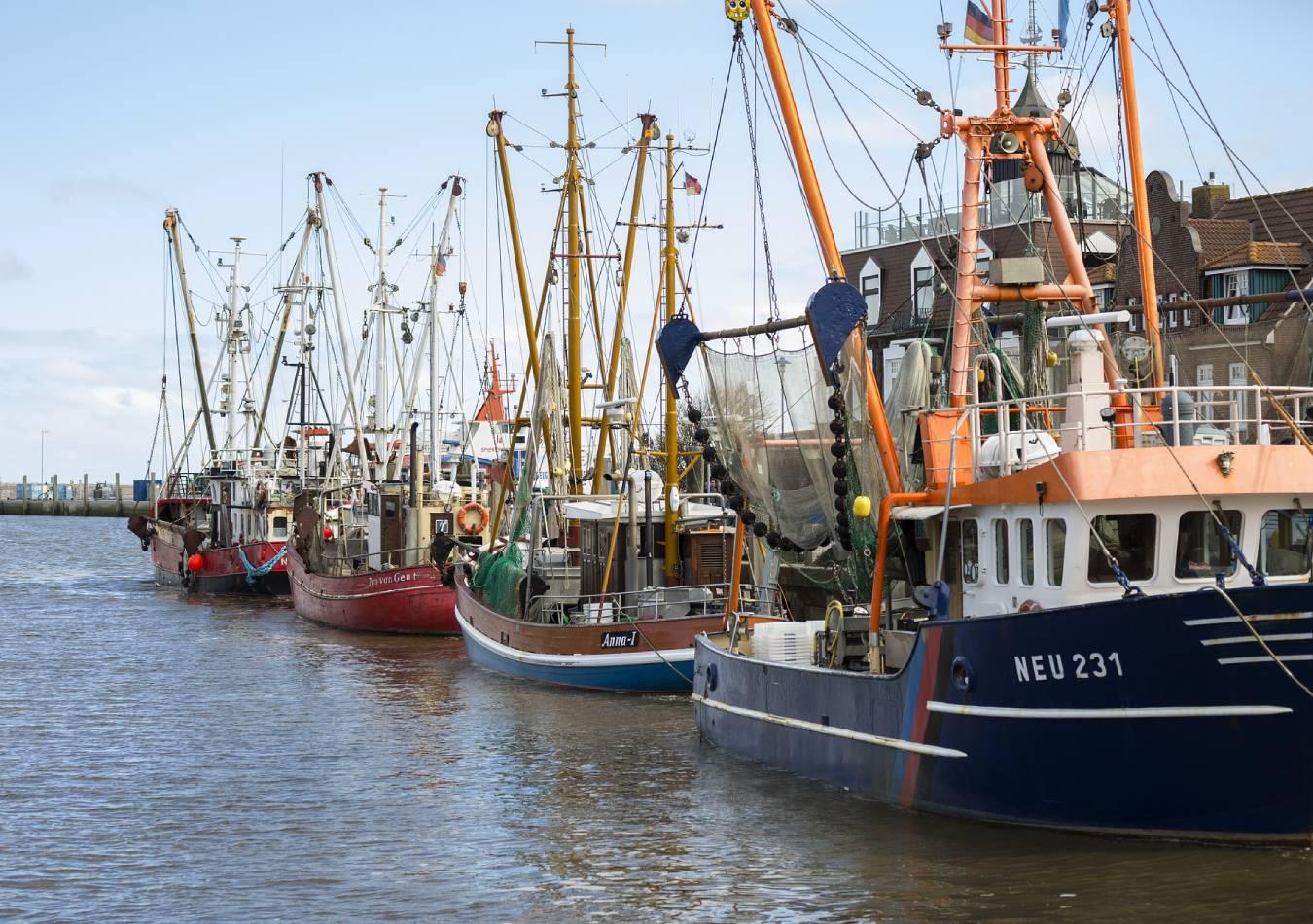 Barco pesquero