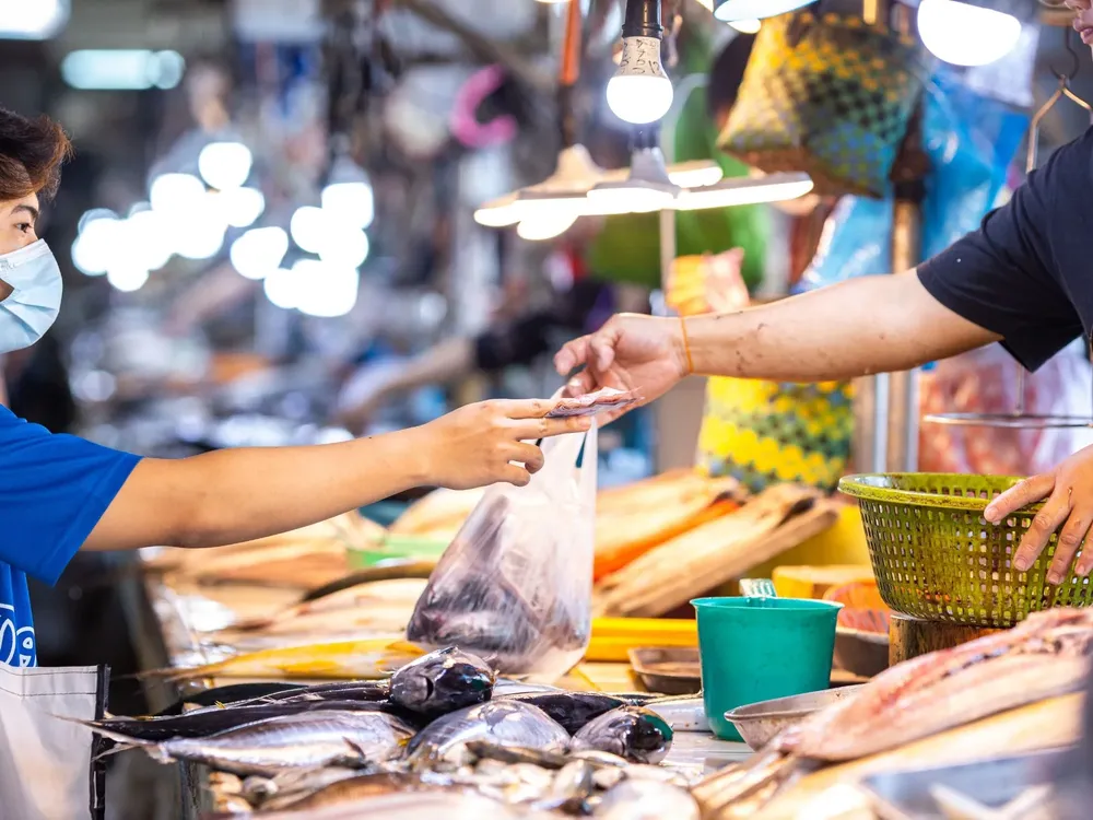 Cami - 2025-09-03T090154.205