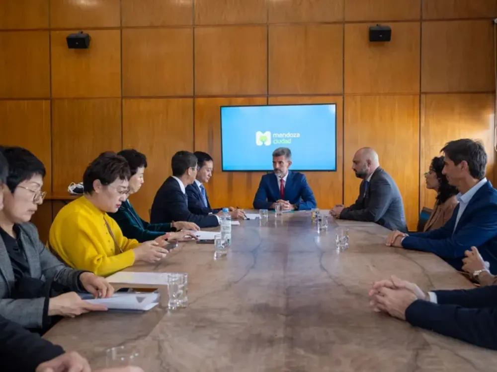 Cami - 2025-11-13T123052.770