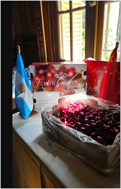 Captura de pantalla 2025-12-26 124208