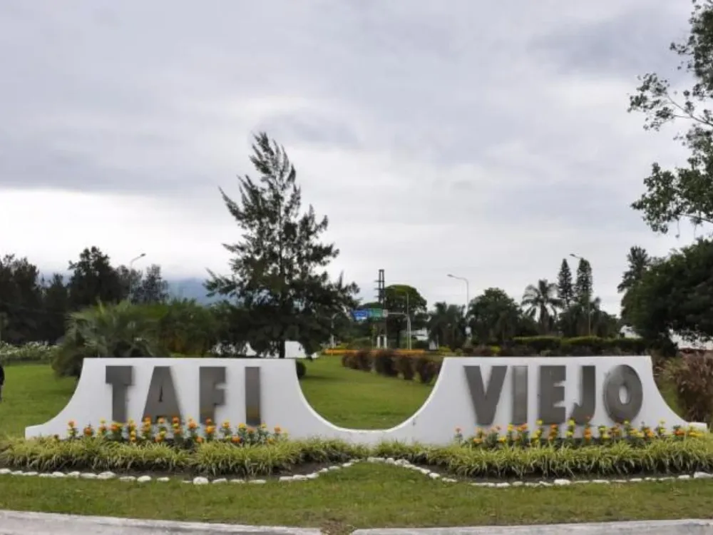 Cami - 2026-02-11T133509.650