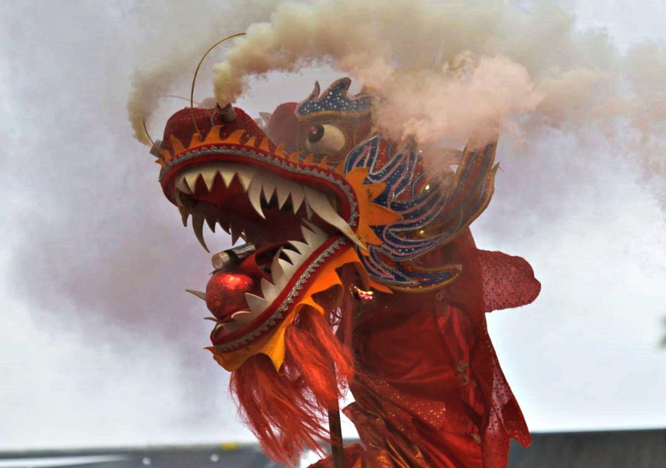 En La Plata celebraron el Año Nuevo Chino (Foto: turismo.laplata)