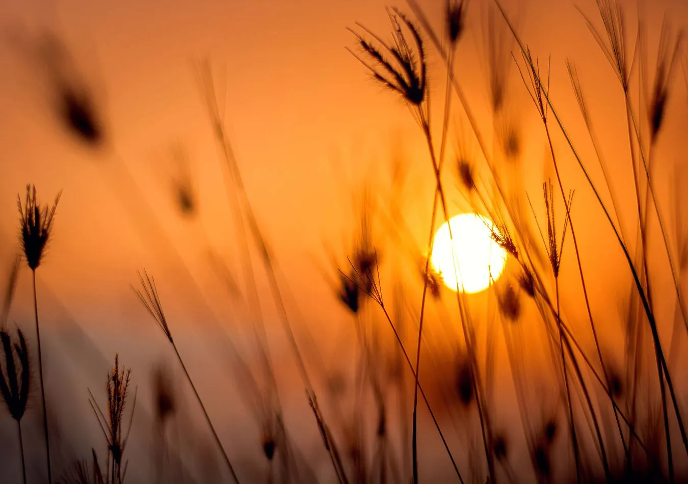 Sol - Imagen ilustrativa. (Foto: Canva)
