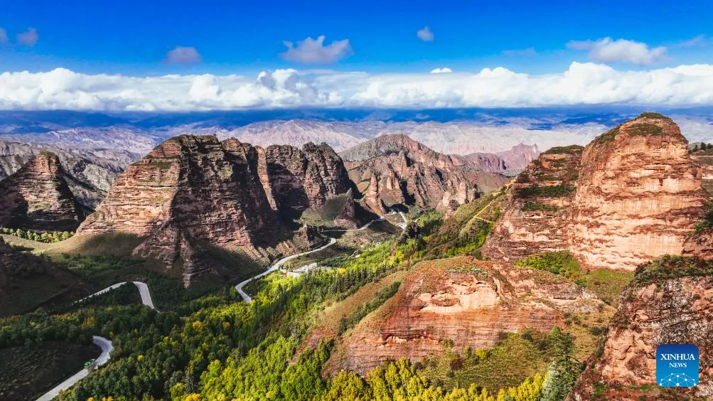 ebaecd9eaee24bc69b7297a1bf29c137