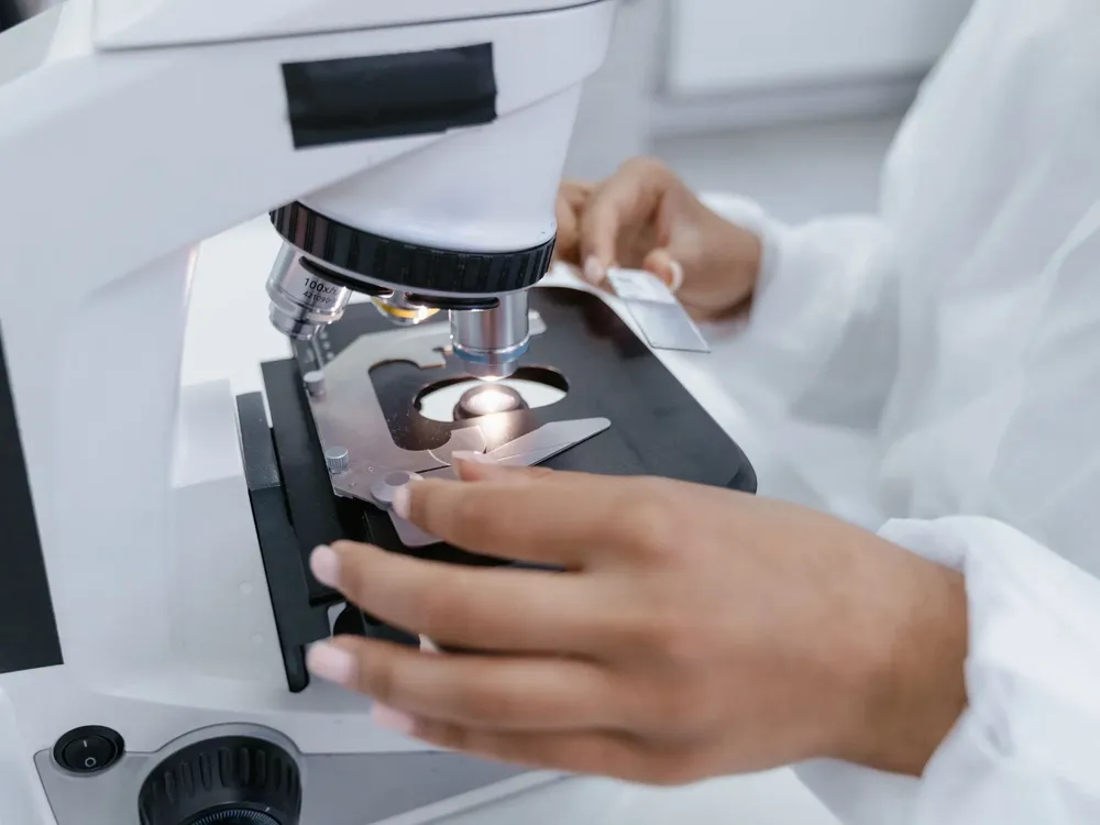 Cami - 2025-11-26T085941.992