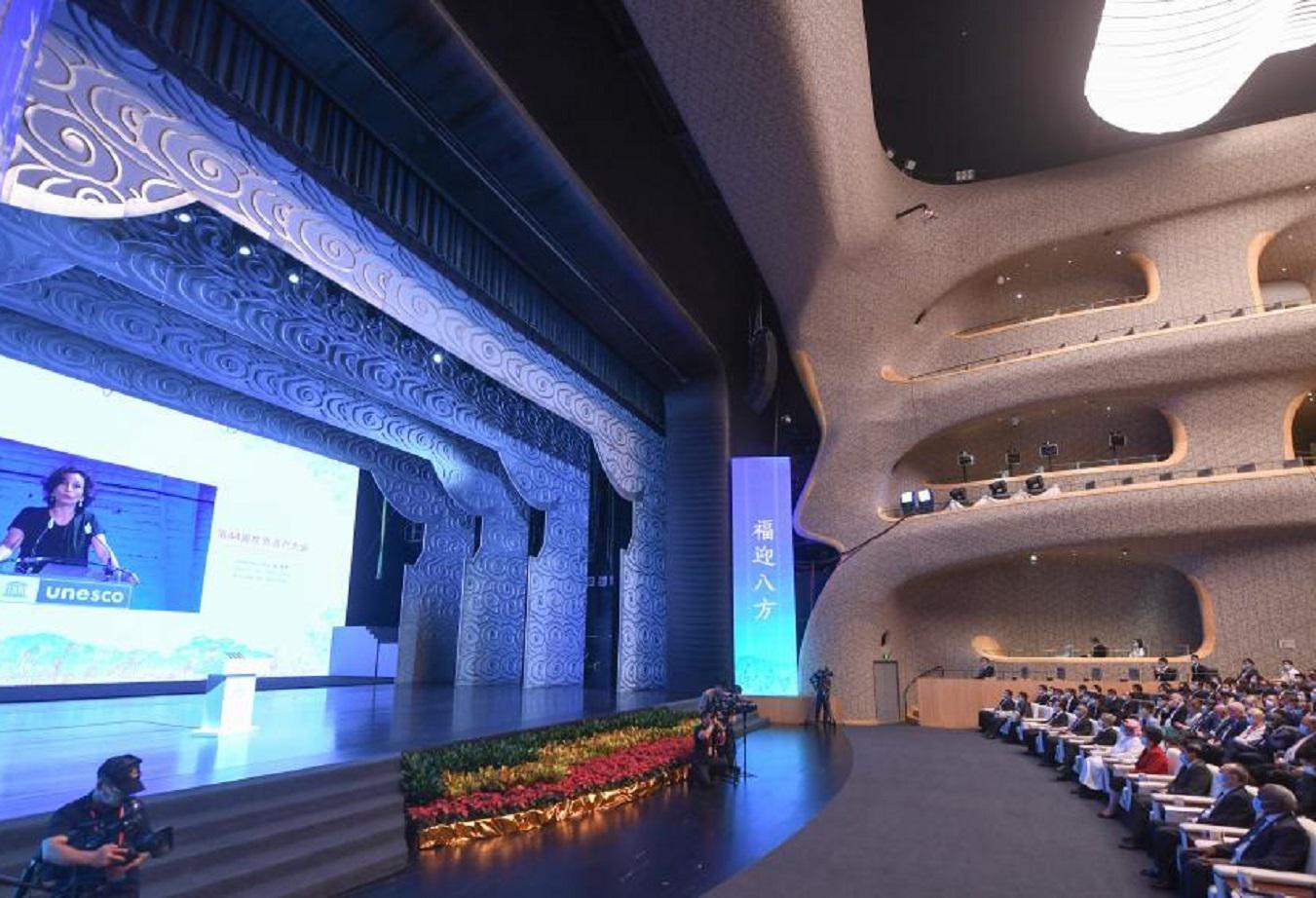 UNESCO Xinhua Song Weiwei