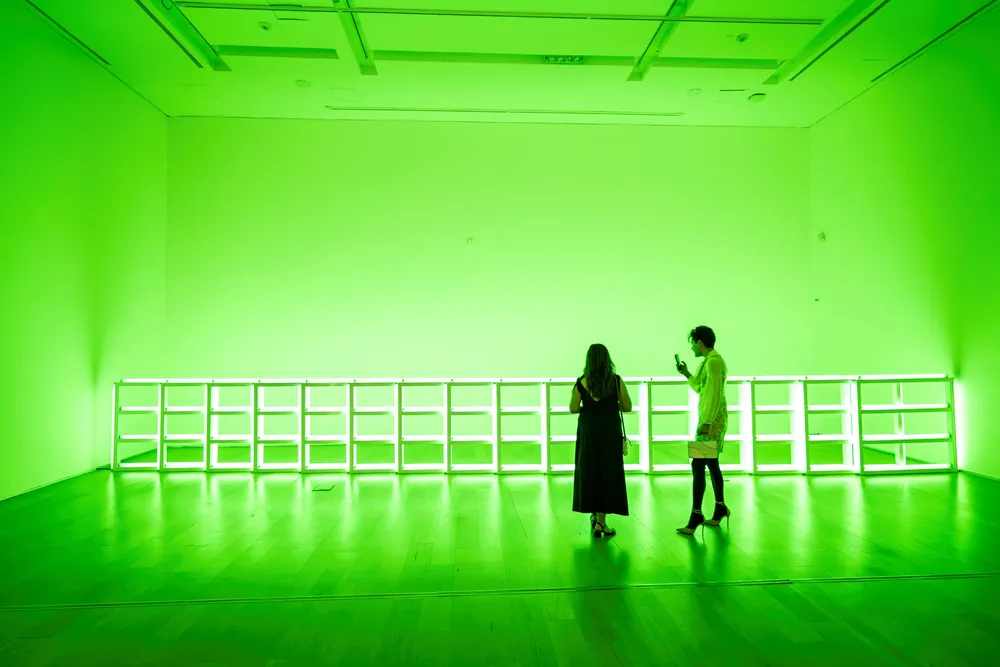 ICBC_MALBA_Pre opening “Luz, color y espacio” de Dan Flavin_3