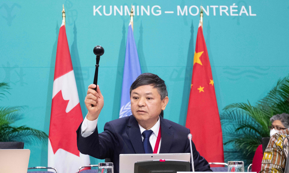 Firman un acuerdo histórico para la conservación de la biodiversidad impulsado por China. (Foto: CGTN)