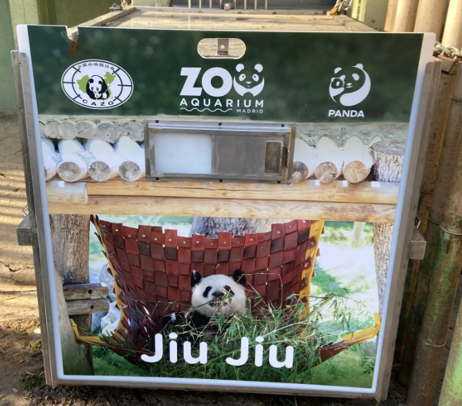 Pandas regresan a China (Foto: Efe) 