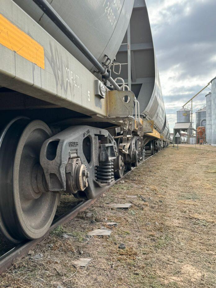 tren0000-696x928