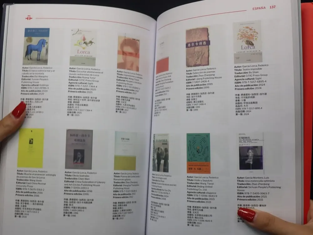 Cami - 2025-12-26T125224.706