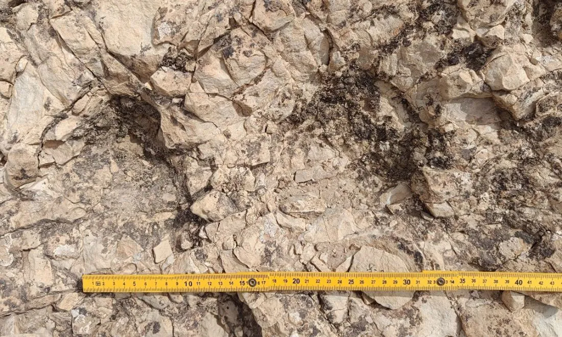 4e1c96_7417f54ede6646ba9189e4c0d8a7256b~mv2