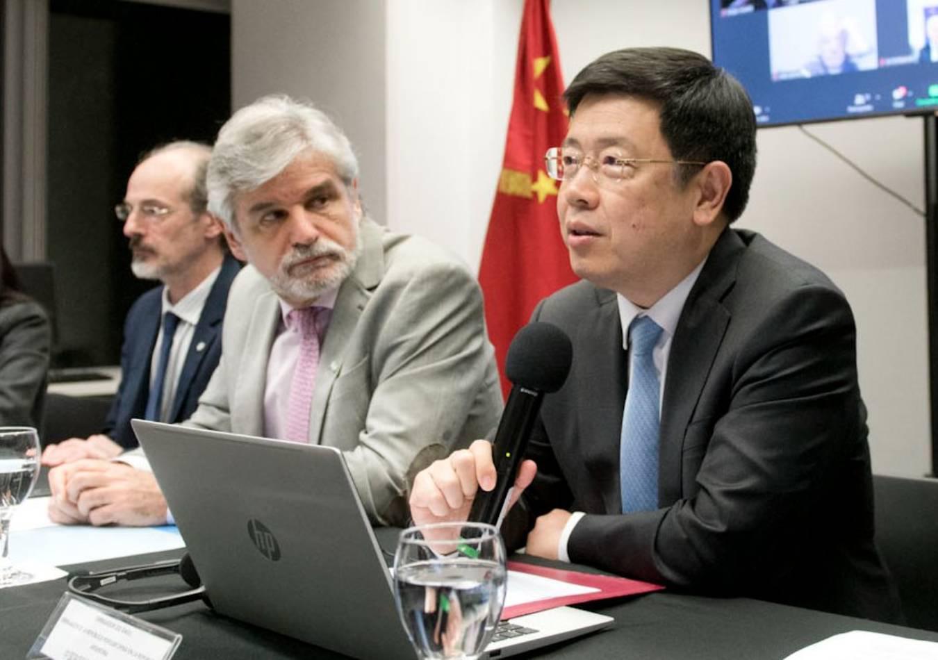 Daniel Filmus y Zou Xiaoli analizaron la agenda bilateral (Foto: Twitter)