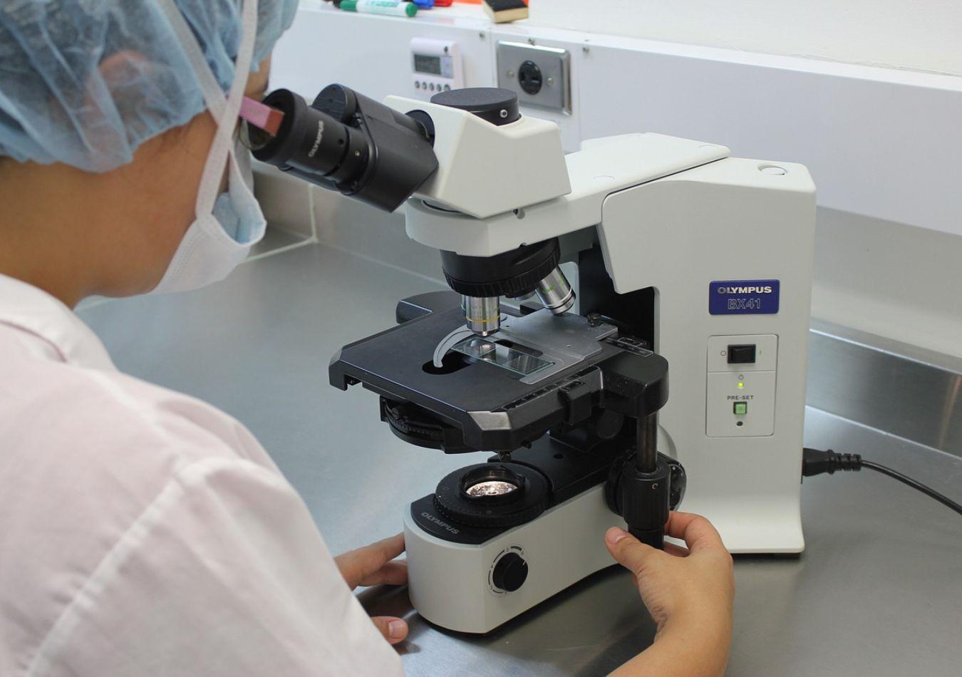 Cientificos - Imagen ilustrativa (Foto: Pixabay)