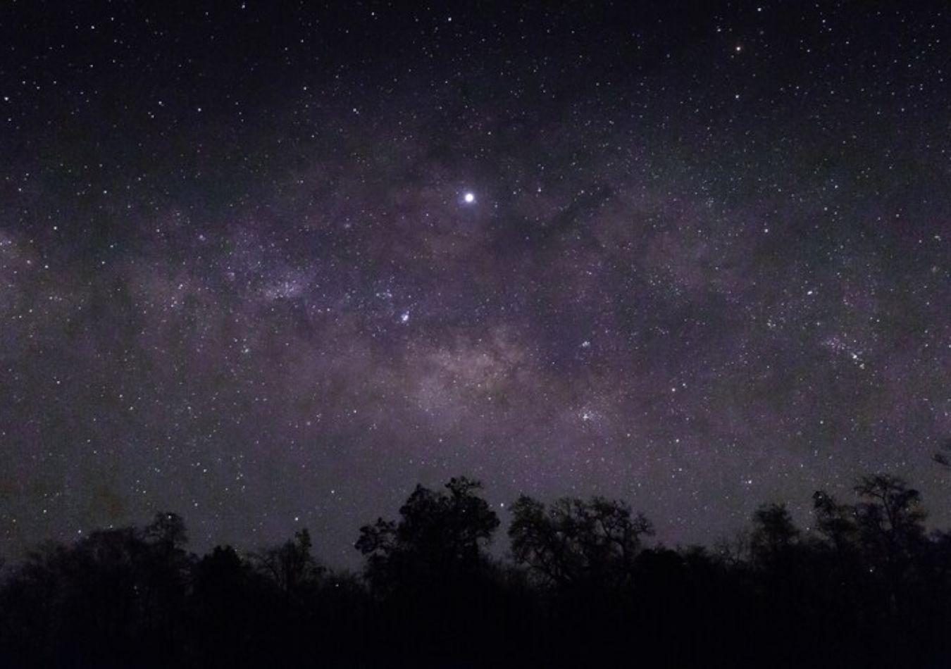 Estrella (Foto: Freepik)