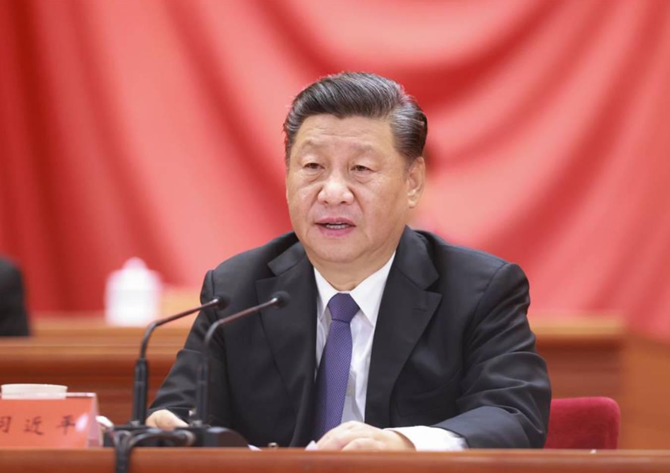 Xi Jinping - Xinhua Ding Lin (1)