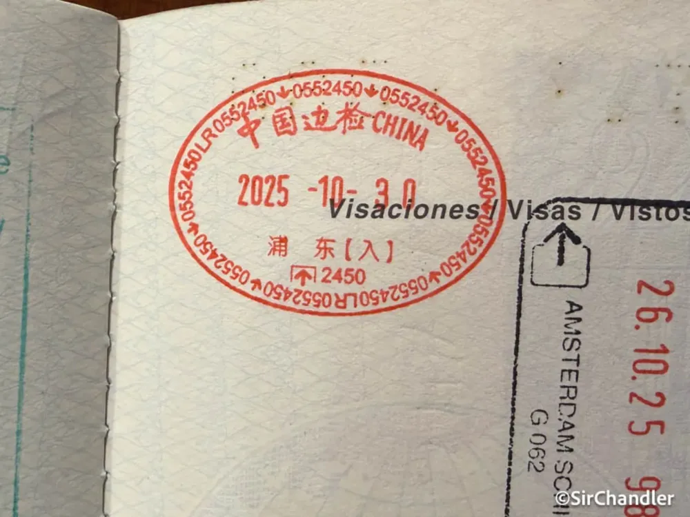 Cami - 2025-10-30T110031.568