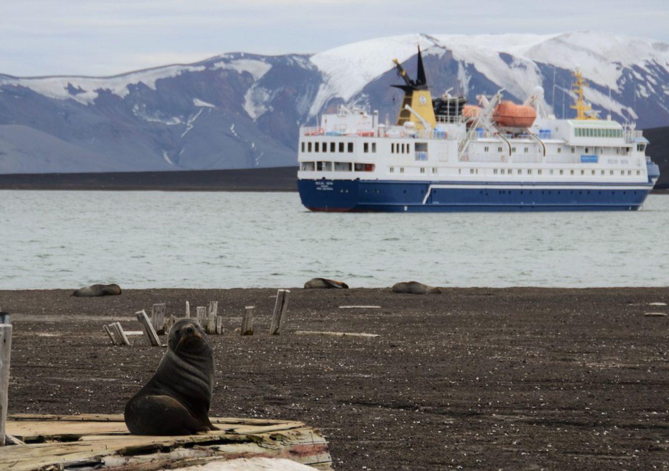 Antártida (Foto: Pixabay)