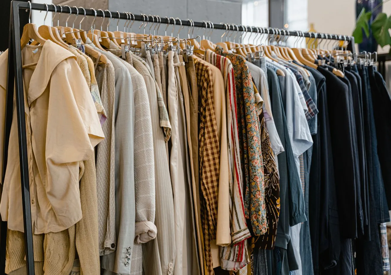 Cami - 2025-07-08T075823.820